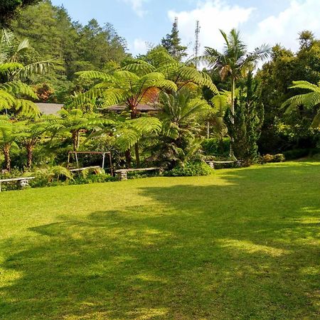 Hotel Warung Rekreasi Bedugul Exterior foto