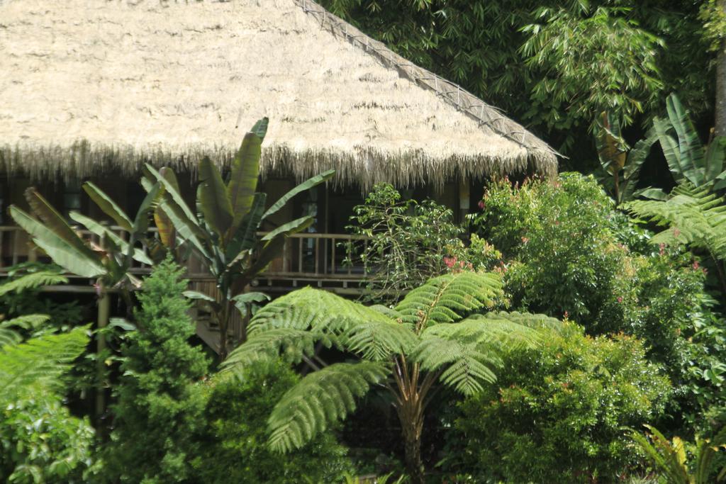 Hotel Warung Rekreasi Bedugul Zimmer foto